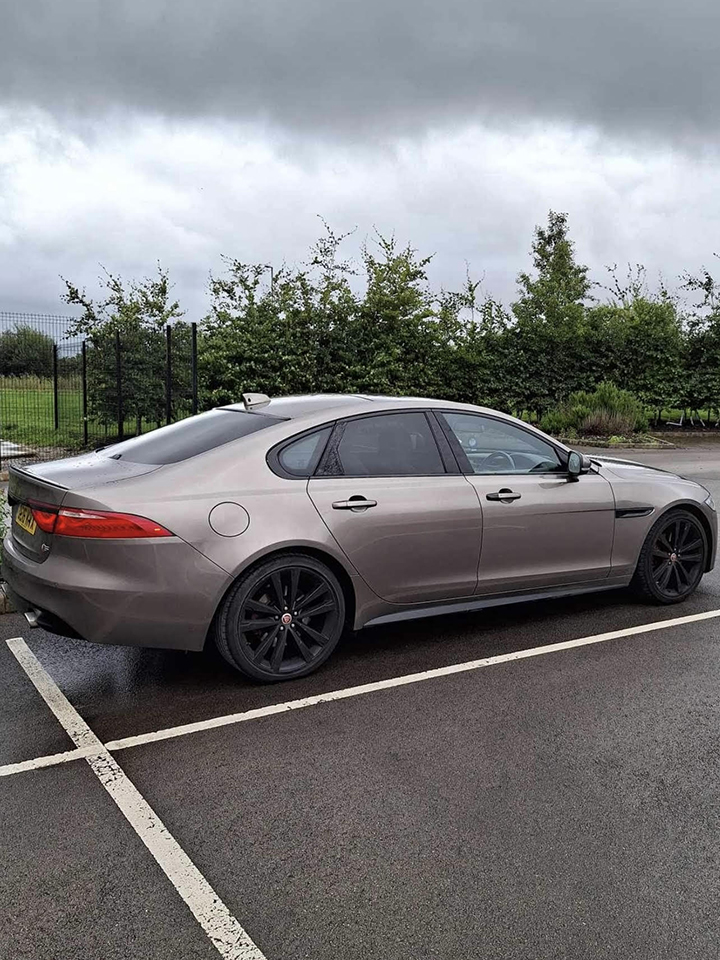 Jaguar Burn Out